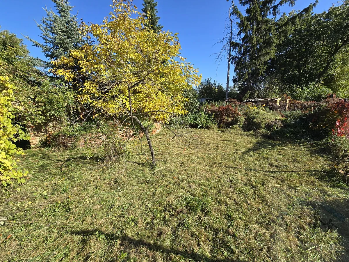 Fotka 22 z 30